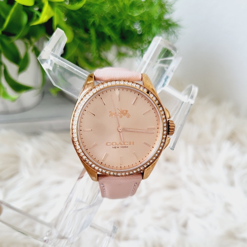 Coach watch